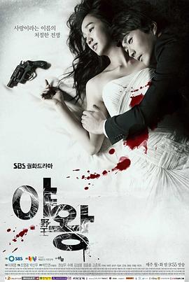 野王2013 (2013) 海报
