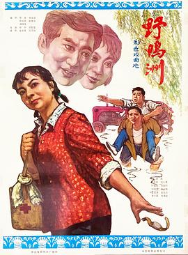 野鸭洲 (1979) 海报