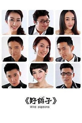野鸽子 (2012) 海报