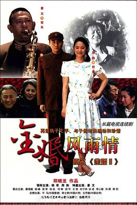 金婚·风雨情 (2010) 海报