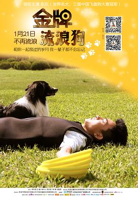 金牌流浪狗 (2014) 海报