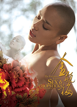 金瓶梅 (2008) 海报