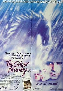 银驹 (1993) 海报