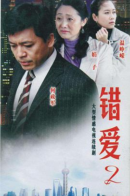 错爱2 (2009) 海报