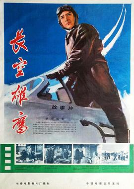 长空雄鹰 (1976) 海报