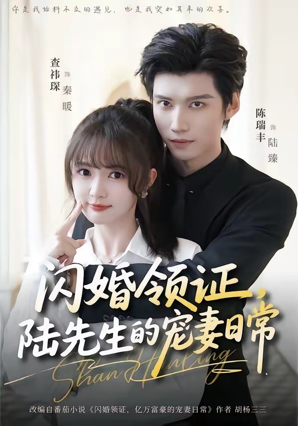 闪婚领证，陆先生的宠妻日常 (2026) 海报