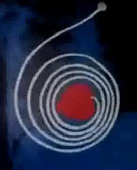 闲暇 (1976) 海报