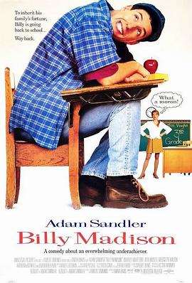阿呆闯学堂 (1995) 海报