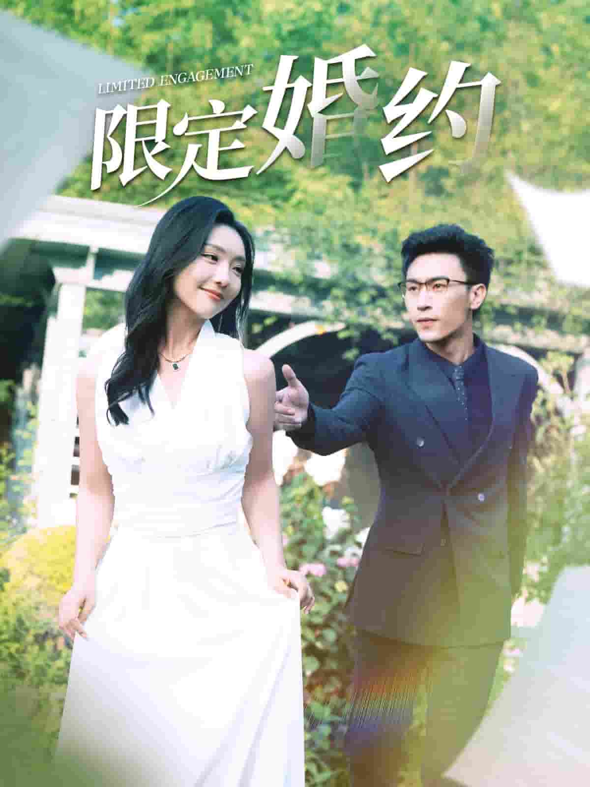 限定婚约 (2024) 海报