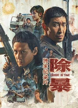 除暴·独家纪录片 海报