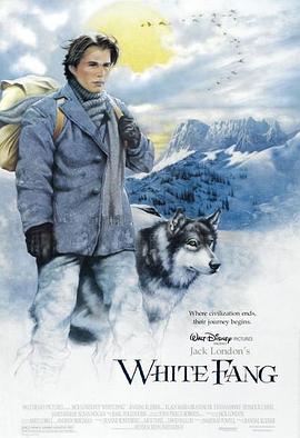 雪地黄金犬 (1991) 海报
