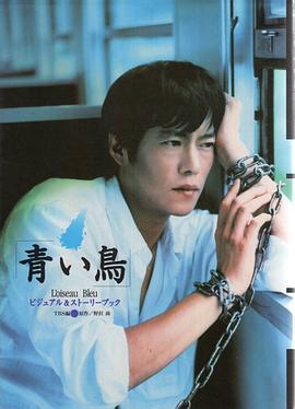 青鸟1997 (1997) 海报