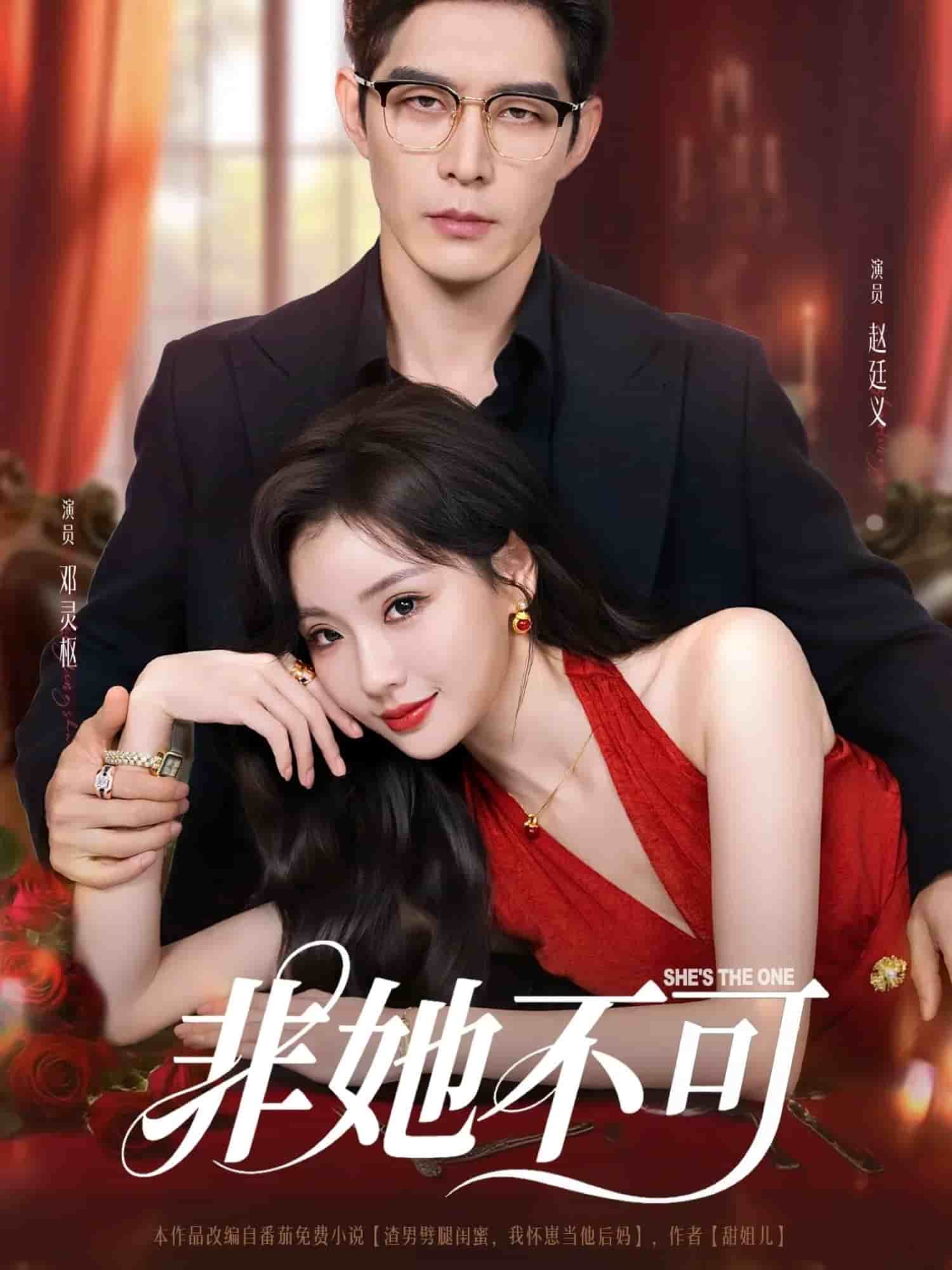 非她不可（短剧版） (2025) 海报