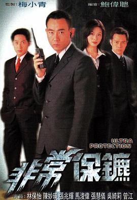 非常保镖国语1999 (1999) 海报