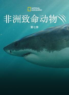 非洲致命动物第七季 (2021) 海报