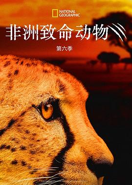 非洲致命动物第六季 (2020) 海报