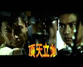 顶天立地 (2001) 海报