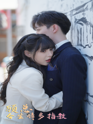顾总请多多指教 (2024) 海报