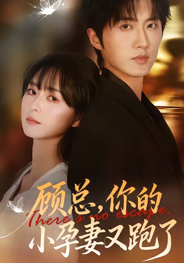 顾总，你的小孕妻又跑了 (2026) 海报
