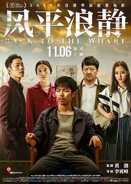 风平浪静 独家纪录片 (2020) 海报