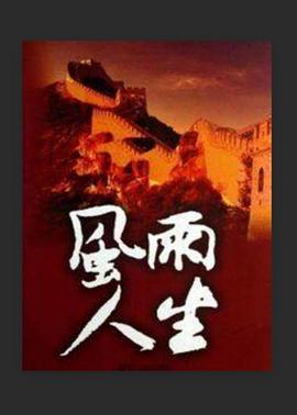 风雨人生 (2002) 海报