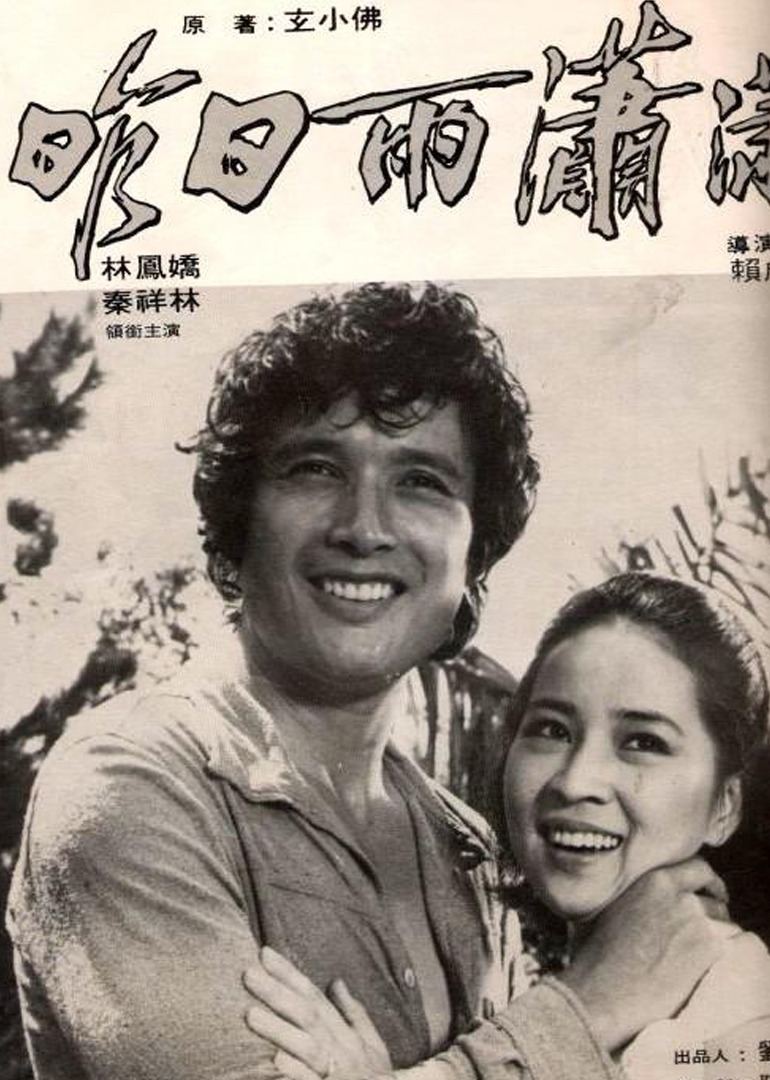 风雨情 (1979) 海报