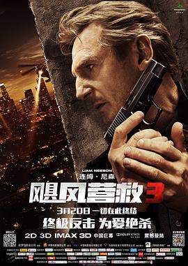 飓风营救3 (2014) 海报
