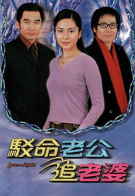 驳命老公追老婆粤语 (2004) 海报