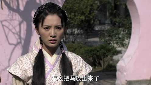 鱼美人 (2011) 海报
