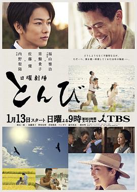 鸢2013 (2013) 海报