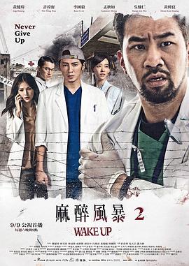 麻醉风暴2 (2017) 海报