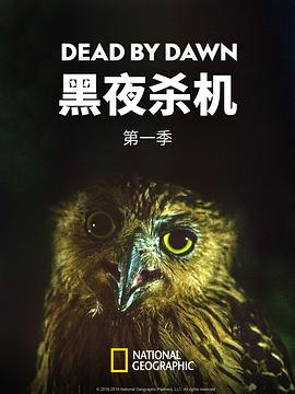 黑夜杀机第一季 (2019) 海报