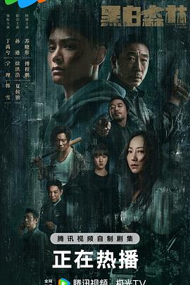 黑白森林 (2024) 海报