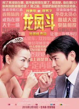 龙凤斗[电影解说] (2004) 海报