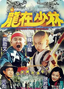 龙在少林[电影解说] (1996) 海报